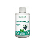 chlorophylle menthe verte Land Art - La Boite à Grains