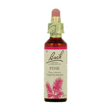 Pine Bach - La Boite à Grains