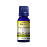 huile essentielle eucalyptus radiata biologique Divine Essence - La Boite à Grains