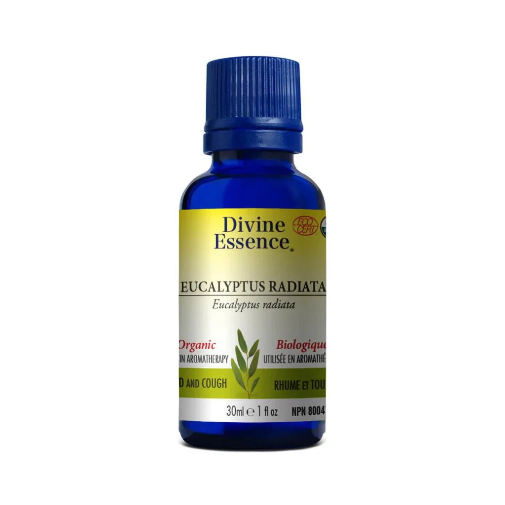 huile essentielle eucalyptus radiata biologique Divine Essence - La Boite à Grains