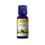 huiles essentielles ravintsara biologique Divine Essence - La Boite à Grains
