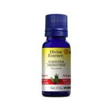 huile essentielle térébenthine biologique Divine Essence - La Boite à Grains