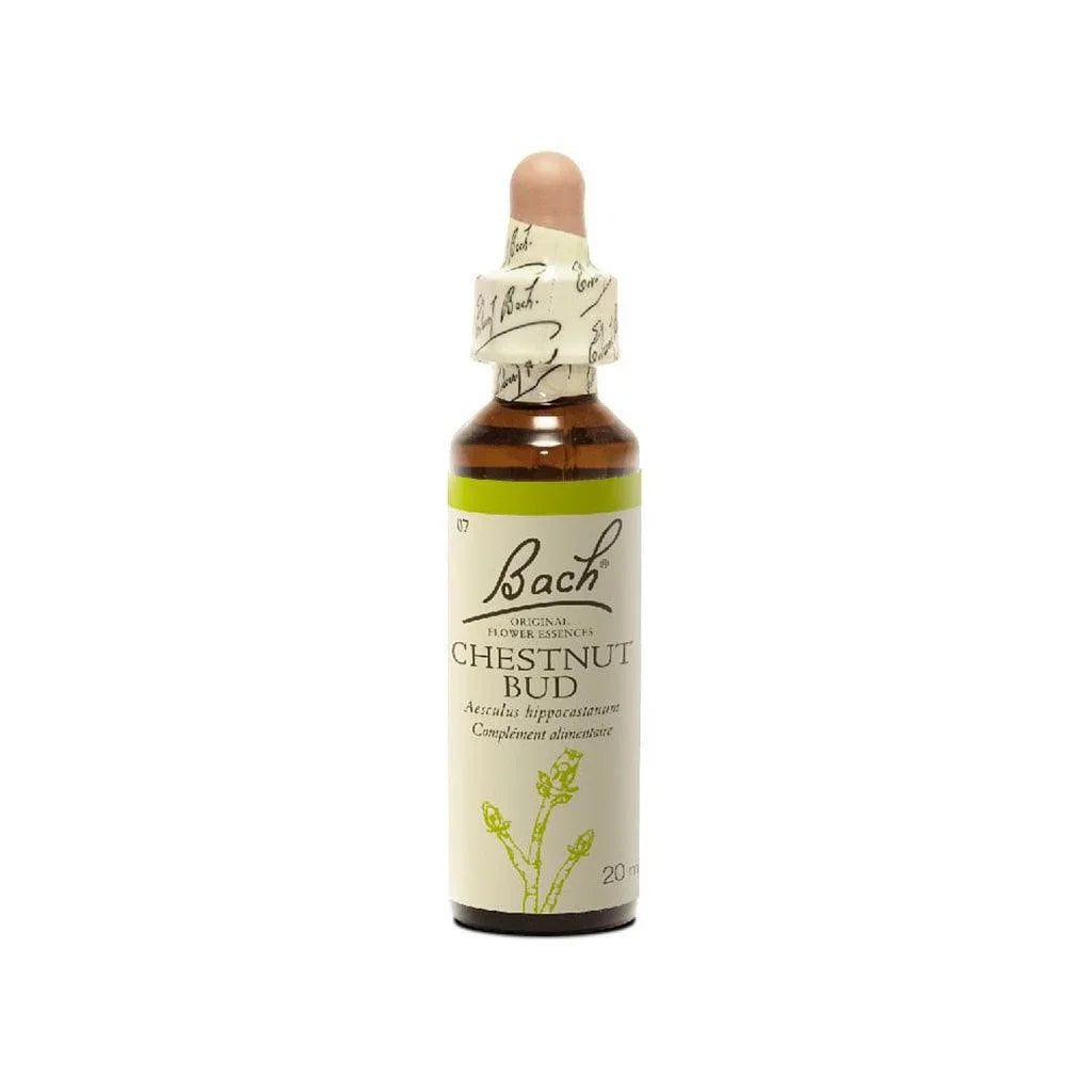 Bach Flower No. 7 - Bach Chestnut Bud - La Boite à Grains