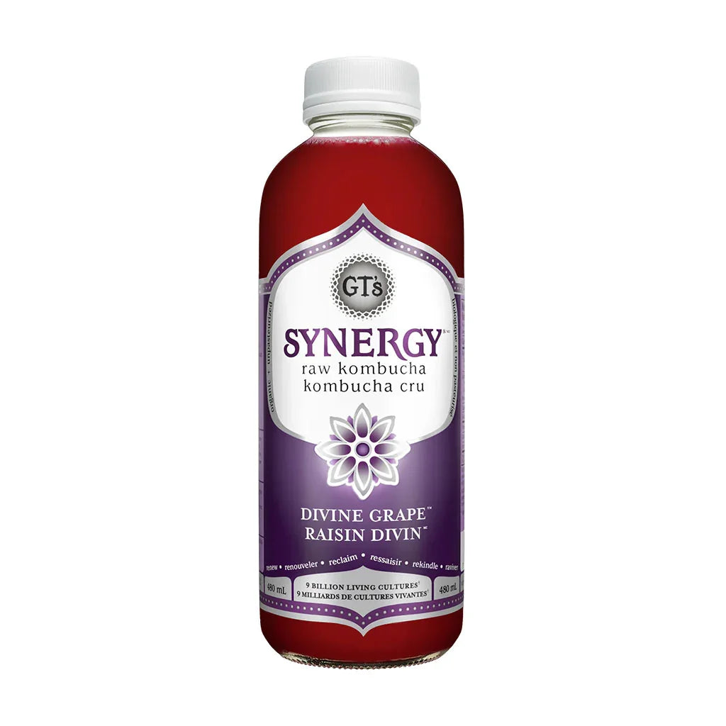 GT's kombucha synergy raisin divin 480 ml - La Boite à Grains