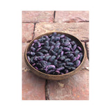 Organic Scarlet Runner Climbing Bean (Seeds) Nordic Seeds - La Boite à Grains