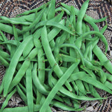 Organic Northeaster Bean Les Jardins de l'Écoumène - La Boite à Grains