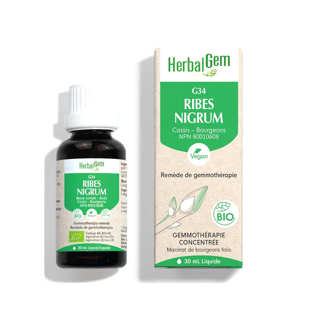 herbalgem g34 ribes nigrum 30 ml - La Boite à Grains