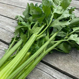 organic Elne celery Les Jardins de L'Écoumène - La Boite à Grains