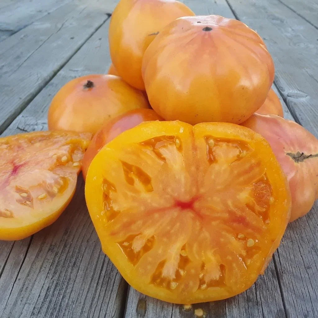 tomate Beefsteak Ananas biologique Les Jardins de l'Écoumène - La Boite à Grains