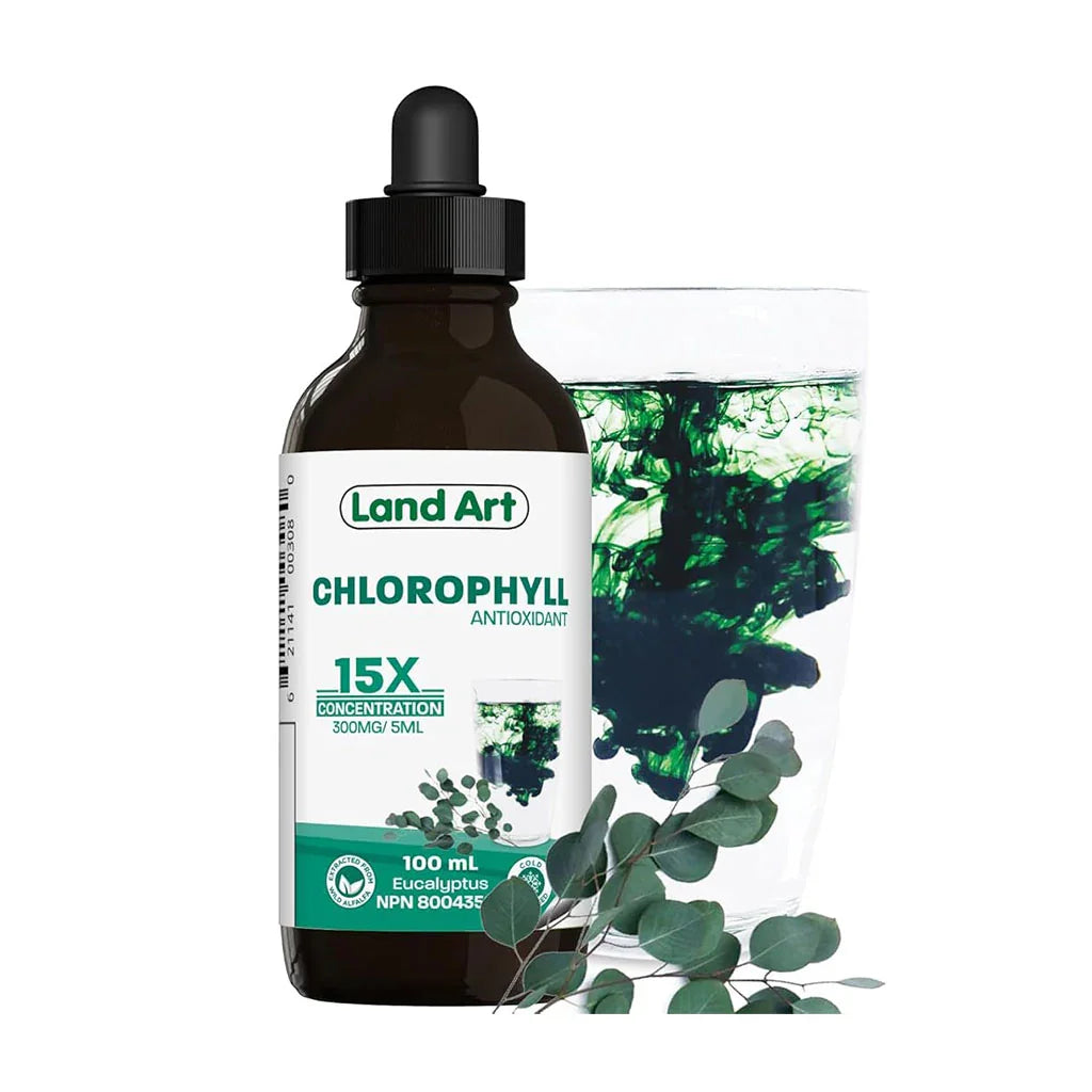 Concentrated Chlorophyll 15X Eucalyptus Land Art - La Boite à Grains