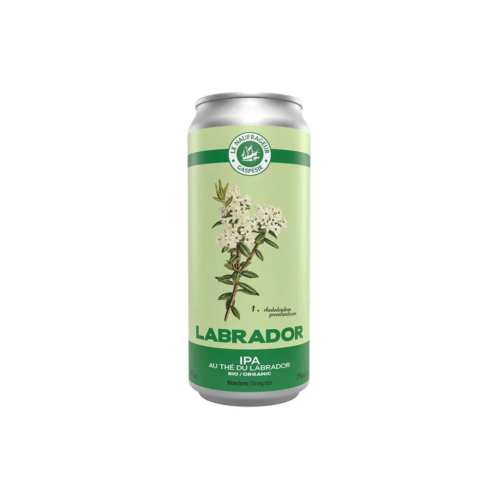Le Naufrageur organic labrador tea IPA beer - La Boite à Grains