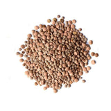 Organic Brown Lentils (Bulk) La Boite à Grains Bulk - La Boite à Grains