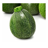 courgette ronde de Nice Les jardins de l'Écoumène - La Boite à Grains