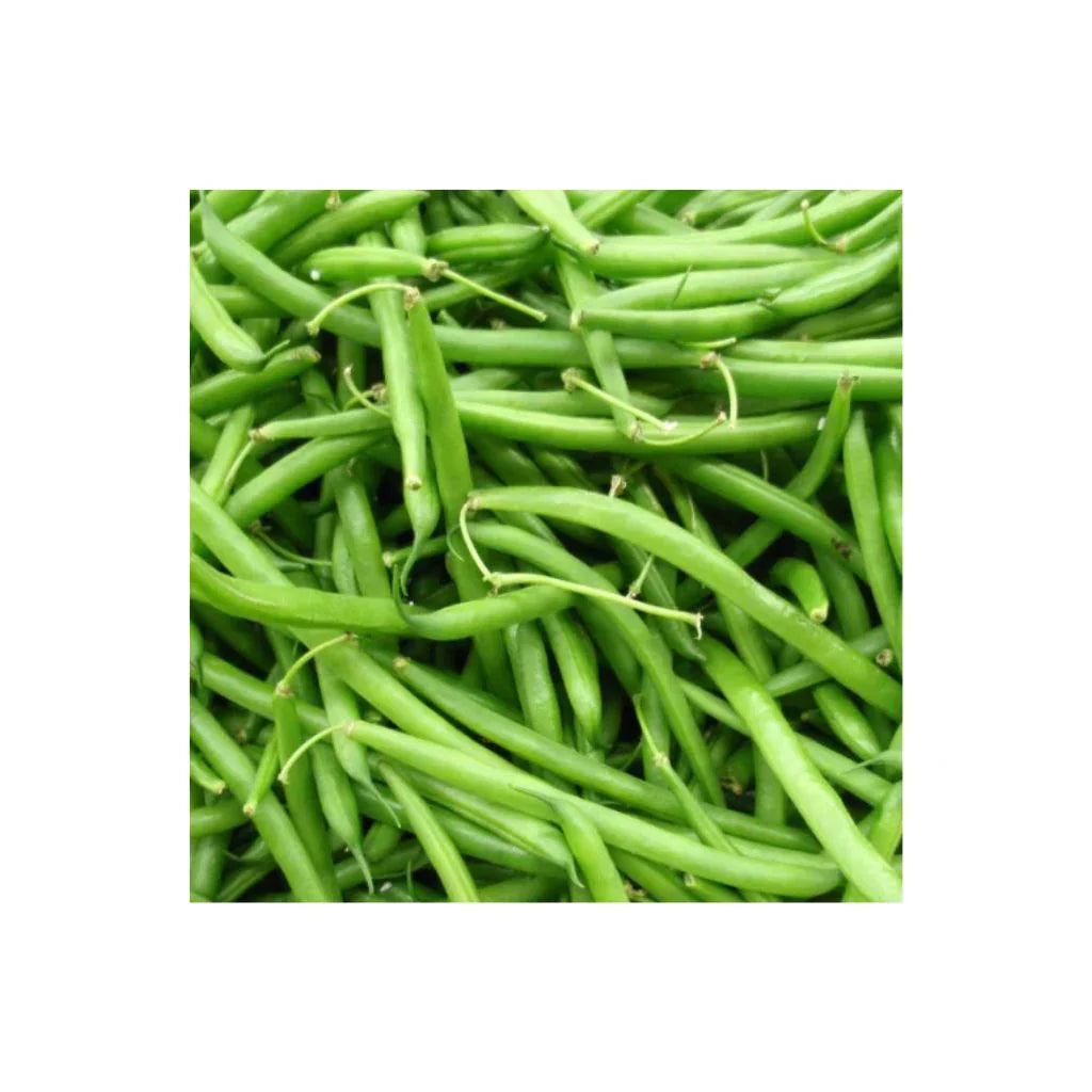 dwarf bean Black Valentine Les Jardins de l'Écoumène - La Boite à Grains