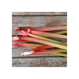 rhubarb Glaskins Les Jardins de l'Écoumène - La Boite à Grains