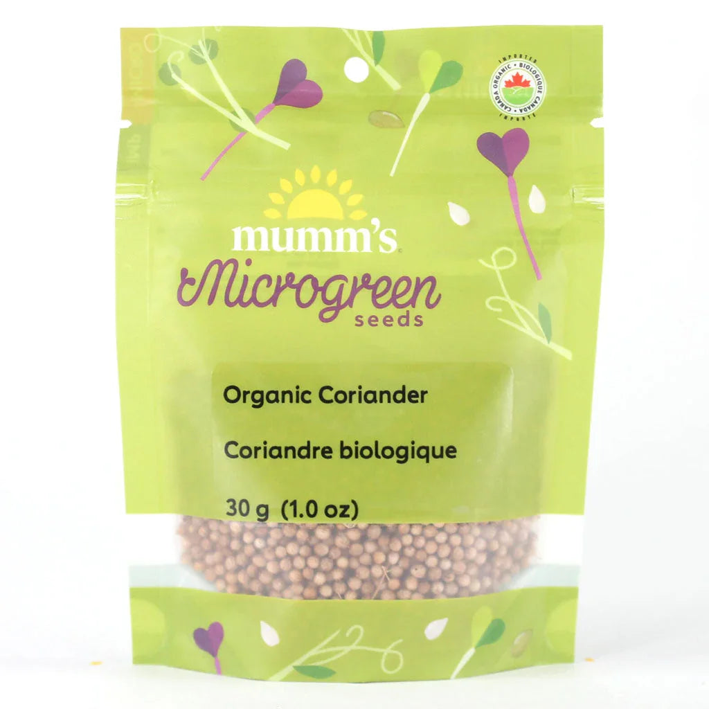 mumm's sprouting seeds coriandre à germer biologique 30 g - La Boite à Grains