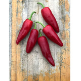 Organic Gorria Pepper Les Jardins de l'Écoumène - La Boite à Grains
