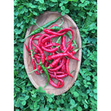 Organic Long Red Cayenne Pepper (Seeds) Nordic Seeds - La Boite à Grains