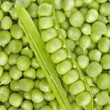 Pois Petit Provençal Biologique Les Jardins de l'Écoumène - La Boite à Grains