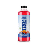 Classique Bleuet & Érable Rise Kombucha - La Boite à Grains