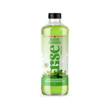 Classique Menthe & Chlorophylle Rise Kombucha - La Boite à Grains
