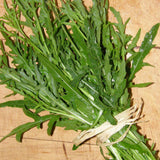 Sylvetta Organic Italian Arugula Les Jardins de l'Écoumène - La Boite à Grains