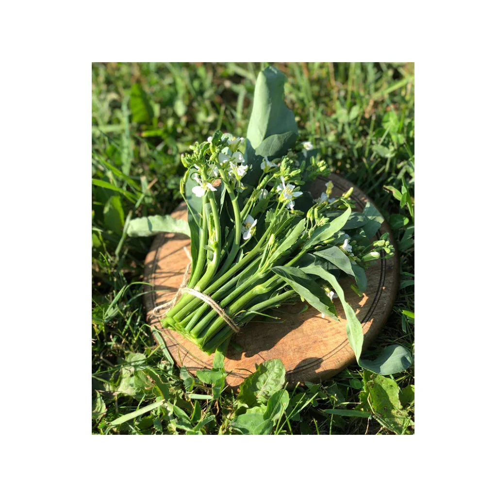broccoli Yod Fah Nordic Seeds - La Boite à Grains