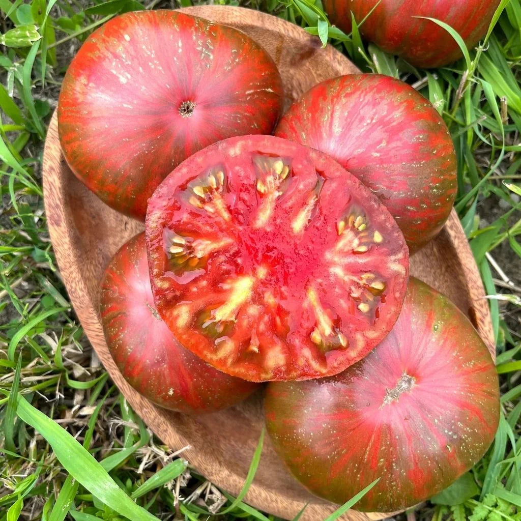 tomato Pink Berkeley Nordic Seeds - La Boite Grains