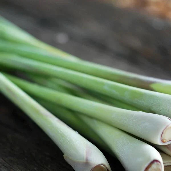 Cha's Organics Organic Lemongrass Stalks - La Boite à Grains