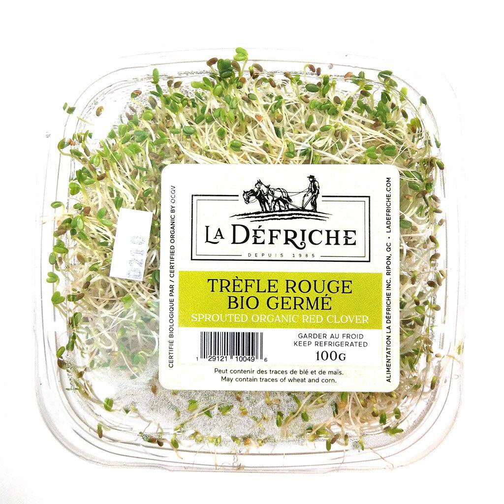 Sprouted Organic Red Clover La Défriche - La Boite à Grains