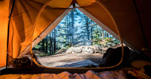 10 aliments à apporter en camping - La Boite à Grains