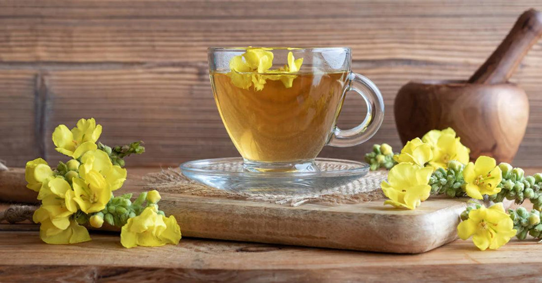 5 plantes médicinales pour combattre les infections respiratoires - La Boite à Grains