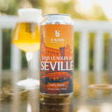 5th Baron Under the Sun of Seville orange gose - La Boite à Grains