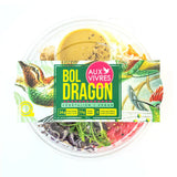 Dragon bowl
