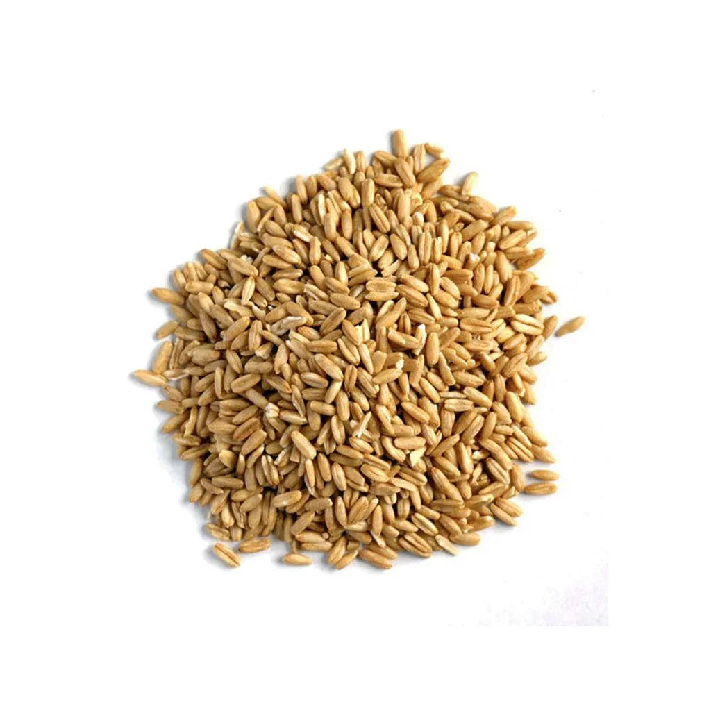 Organic Whole Oats (Bulk) La Boite à Grains Bulk - La Boite à Grains