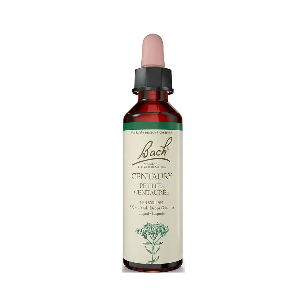 Little Centaury Bach - La Boite à Grains