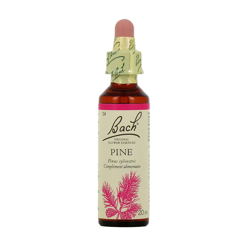 Pine Bach - La Boite à Grains