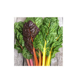 Organic Rainbow Swiss Chard (Seeds) Nordic Seeds - La Boite à Grains