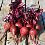 Organic Bull's Blood Beet Les Jardins de l'Écoumène - La Boite à Grains