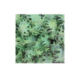 Organic Red Russian Kale (Seeds) Nordic Seeds - La Boite à Grains