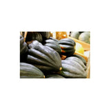 Organic Winter Table King Acorn Squash (Seeds) Nordic Seeds - La Boite à Grains