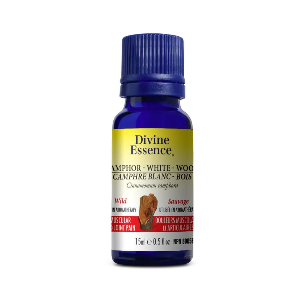 huile essentielle camphre blanc bois sauvage Divine Essence - La Boite à Grains