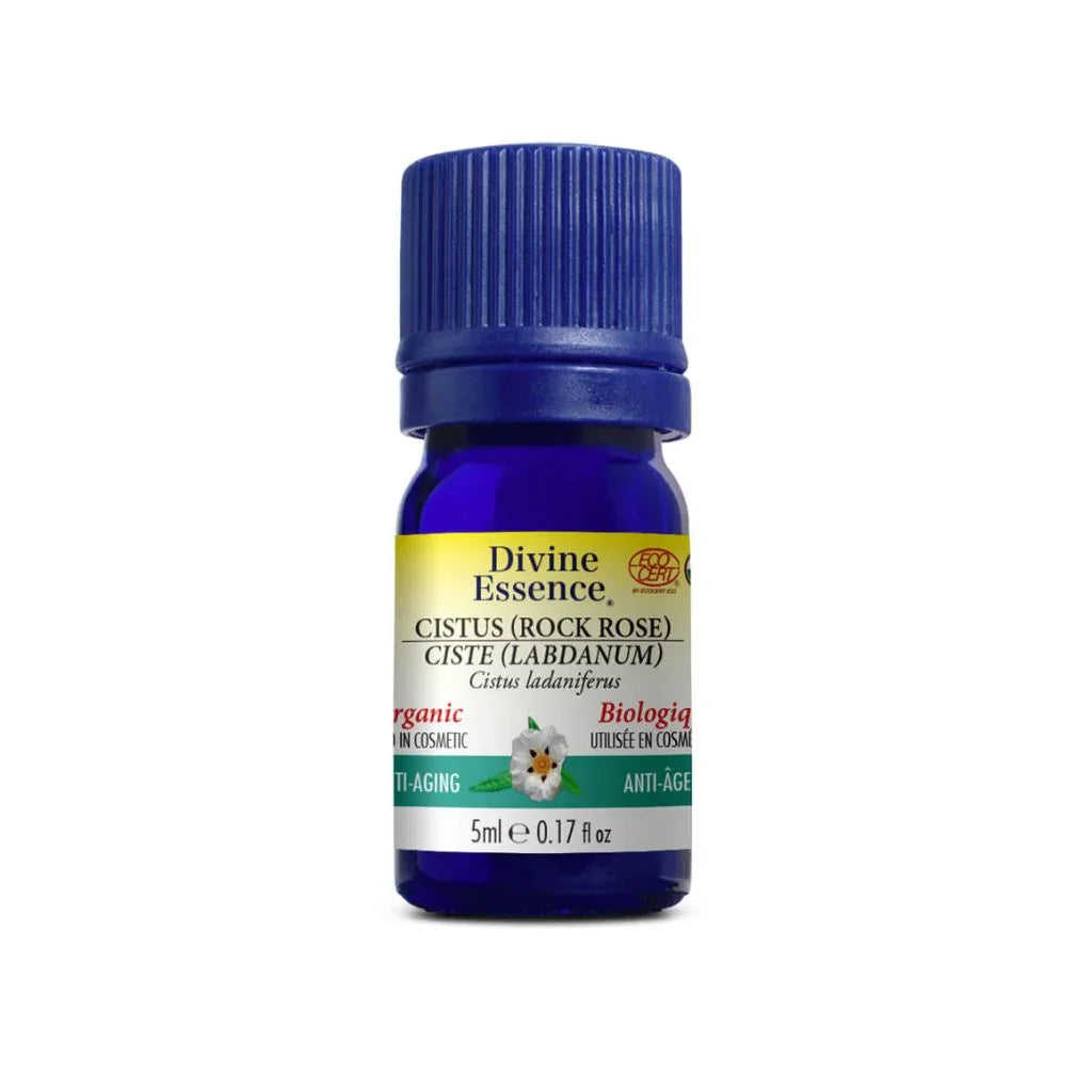 huile essentielle ciste labdanum biologique Divine Essence - La Boite à Grains