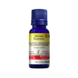 huile essentielle eucalyptus citronné biologique Divine Essence - La Boite à Grains