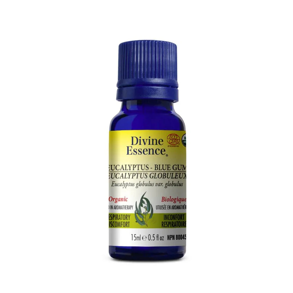 huile essentielle eucalyptus globuleux Divine Essence - La Boite à Grains