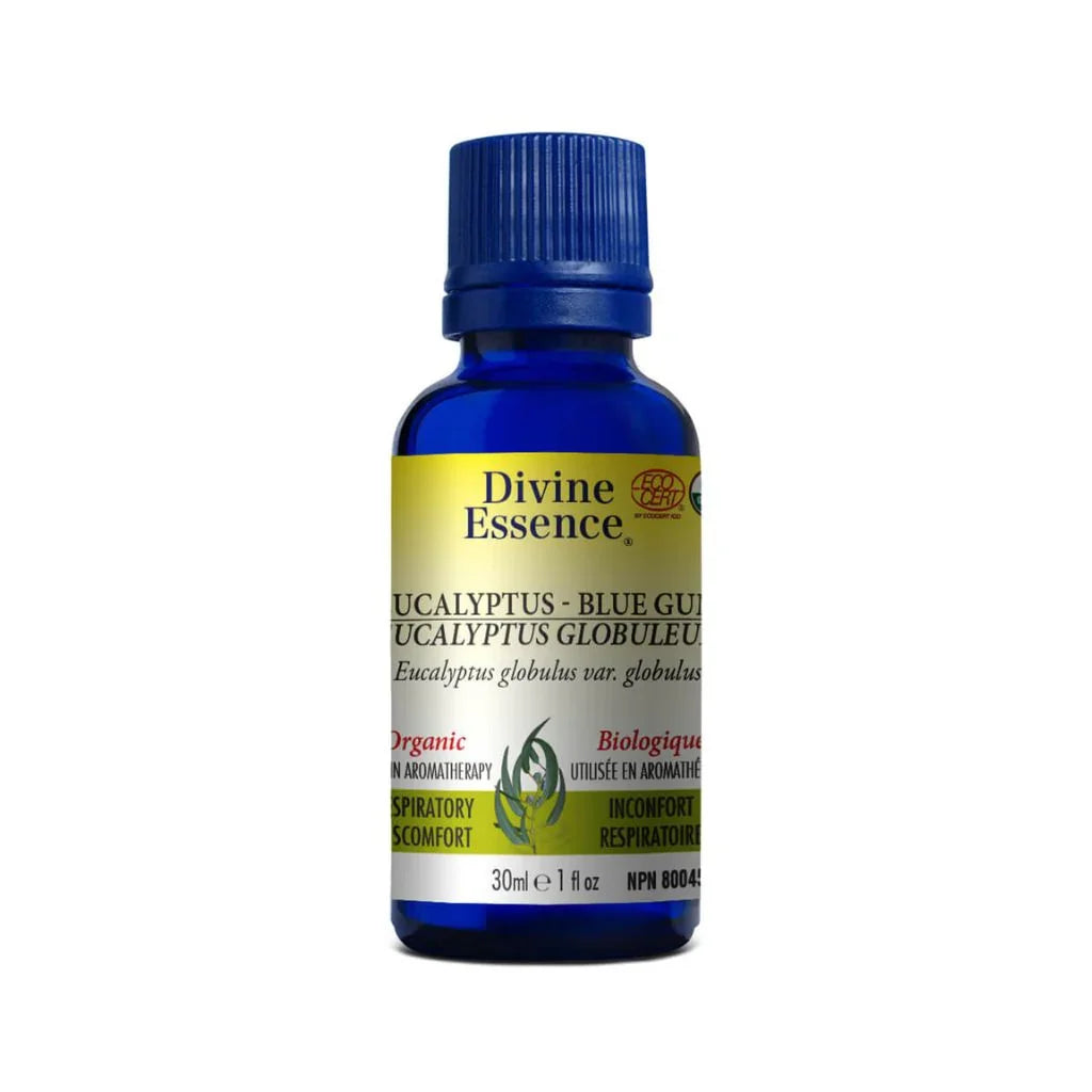 huile essentielle eucalyptus globuleux Divine Essence - La Boite à Grains