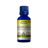 huile essentielle eucalyptus globuleux Divine Essence - La Boite à Grains