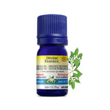 divine essence neroli orange blossom 5 ml - La Boite à Grains