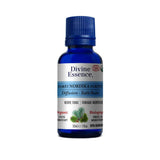 huiles essentielles Forêt Nordika biologique Divine Essence - La Boite à Grains
