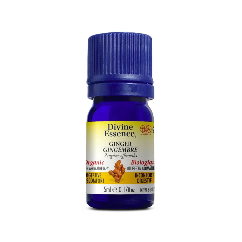 huile essentielle gingembre biologique Divine Essence - La Boite à Grains
